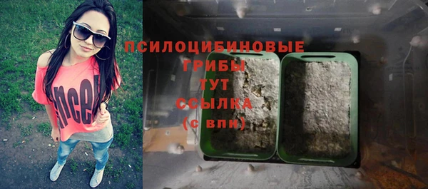 гидропоника Алексеевка